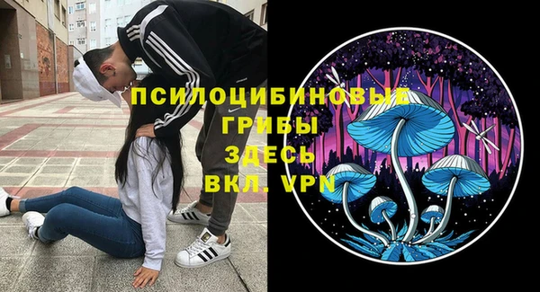 ECSTASY Аркадак