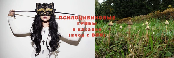 ECSTASY Аркадак