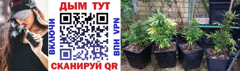 hydra ссылки Ужур Шишки марихуана OG Kush